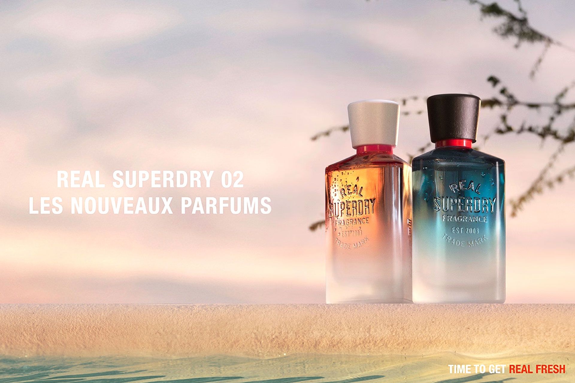 SUPERDRY Real 02
